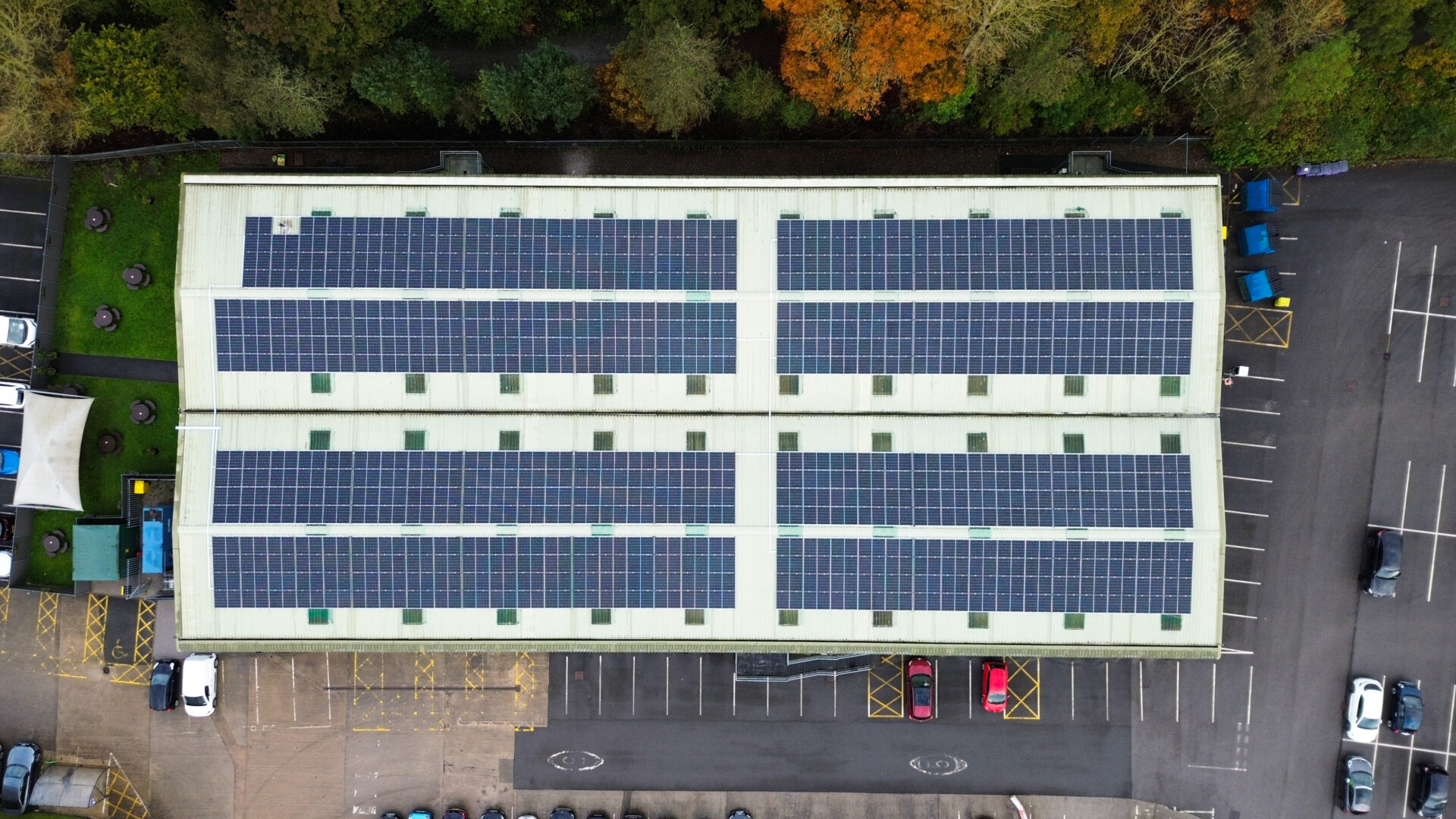 Carbon neutral Daisy